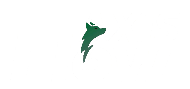 Axisflow